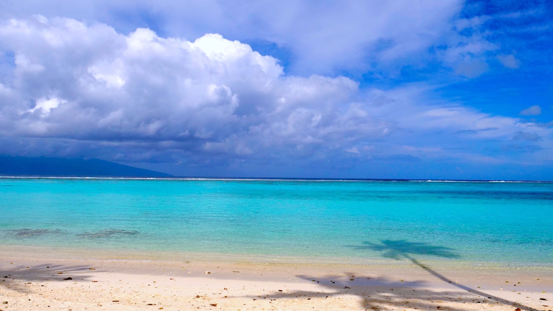 Lagon de Temae, Moorea, plage publique entre cocotiers et lagon vert-bleu