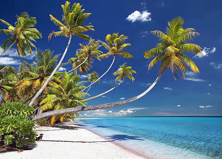 Hirifa Beach, Fakarava, lagon turquoise de la réserve de biosphère UNESCO