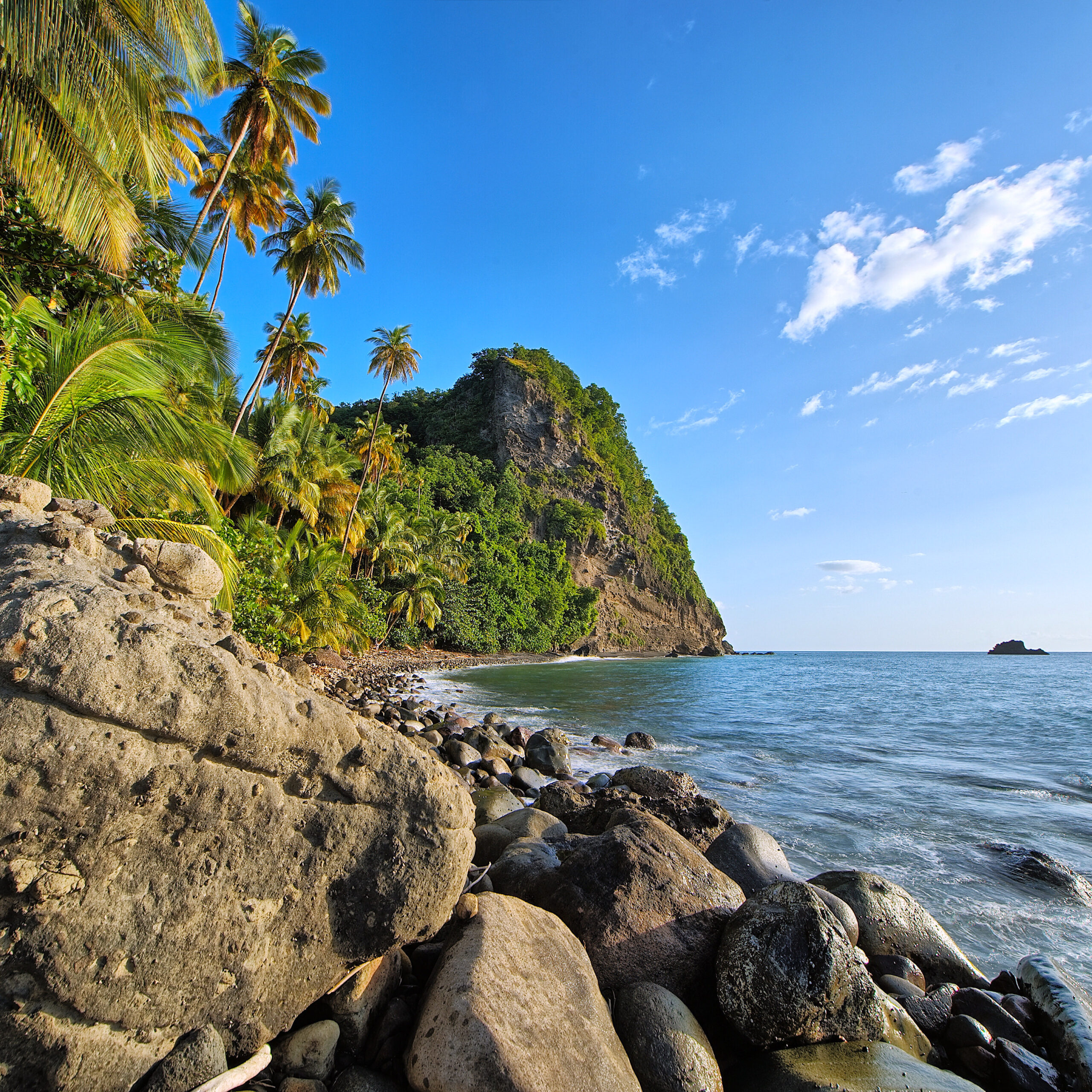 Anse Couleuvre, Le Prêcheur, Martinique - plage de sable noir sauvage et forêt tropicale