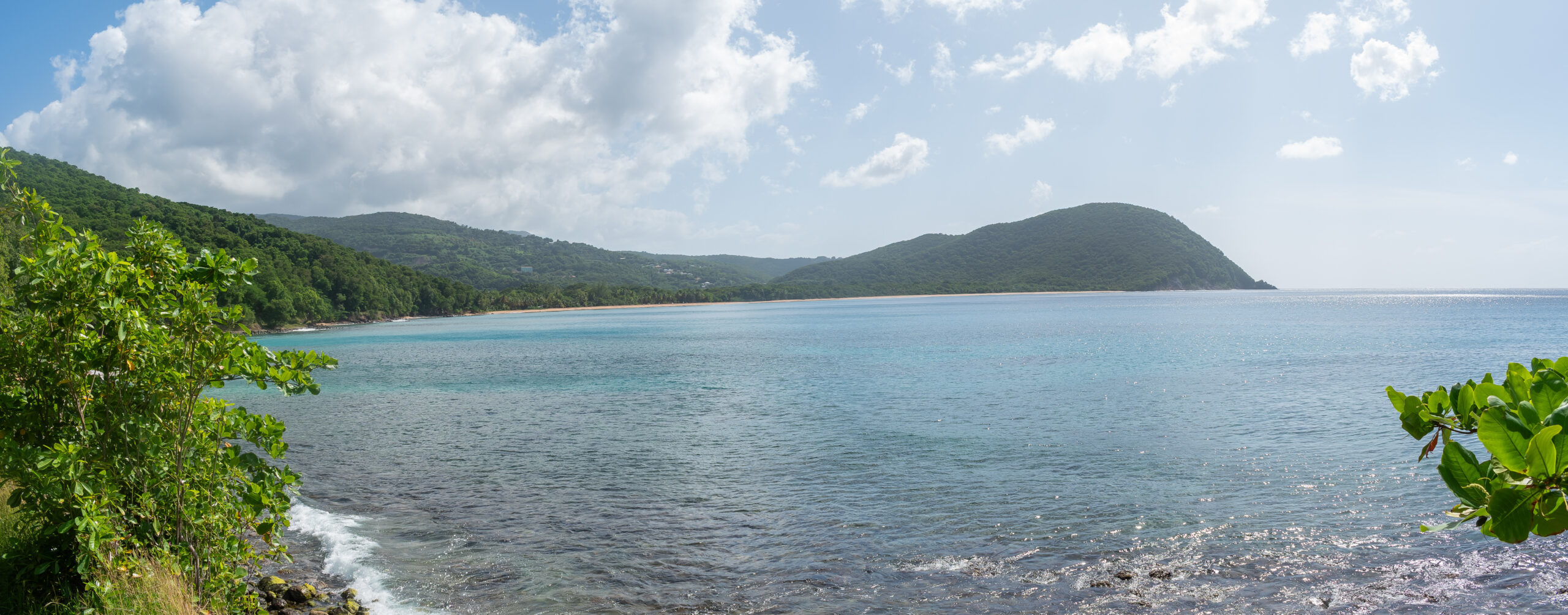 Grande Anse Deshaies Basse-Terre Guadeloupe - arc de sable dore et foret tropicale