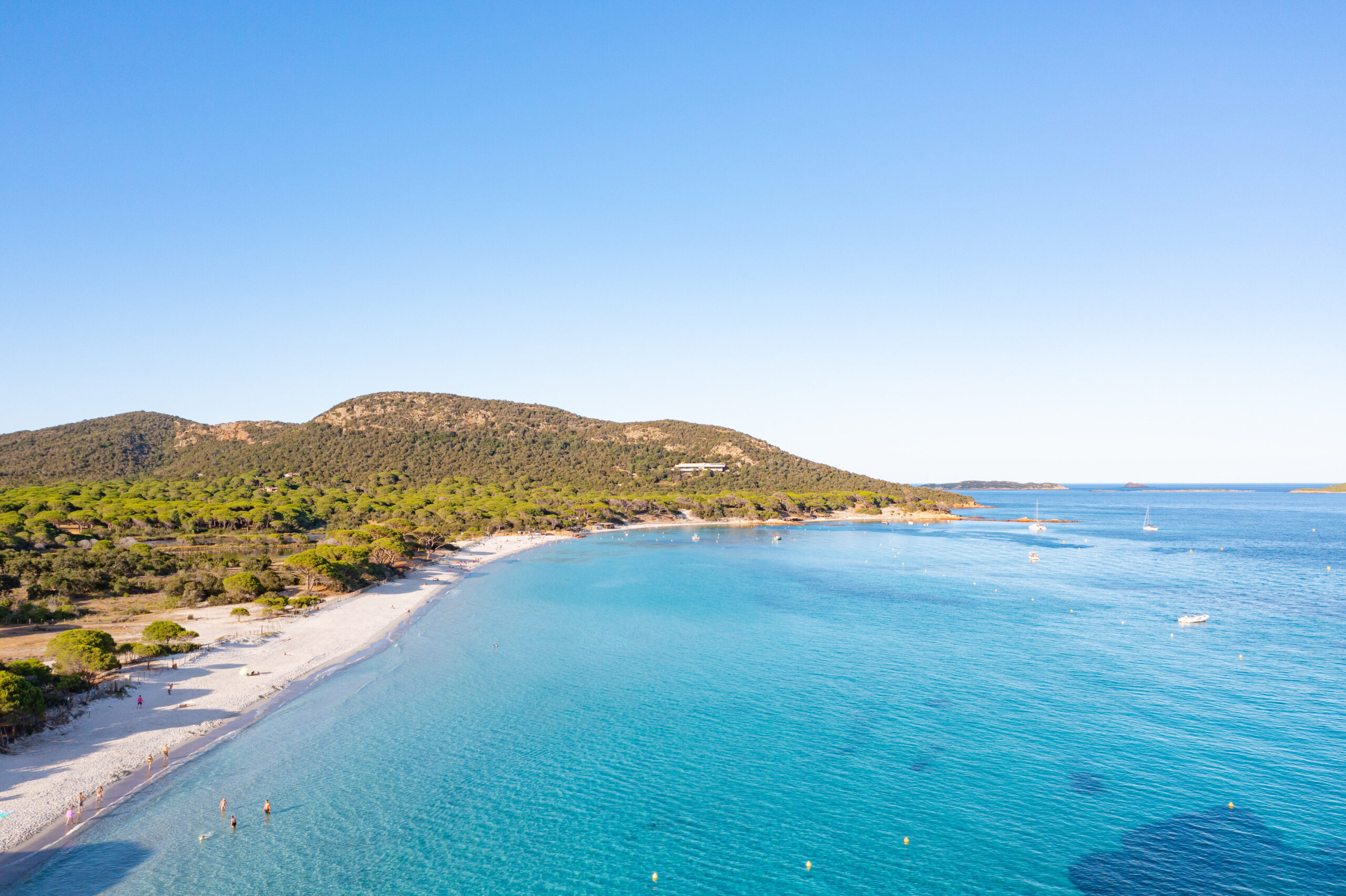 Plage de Palombaggia, Porto-Vecchio, Corse - sable blanc, pins parasols et rochers de granit rose