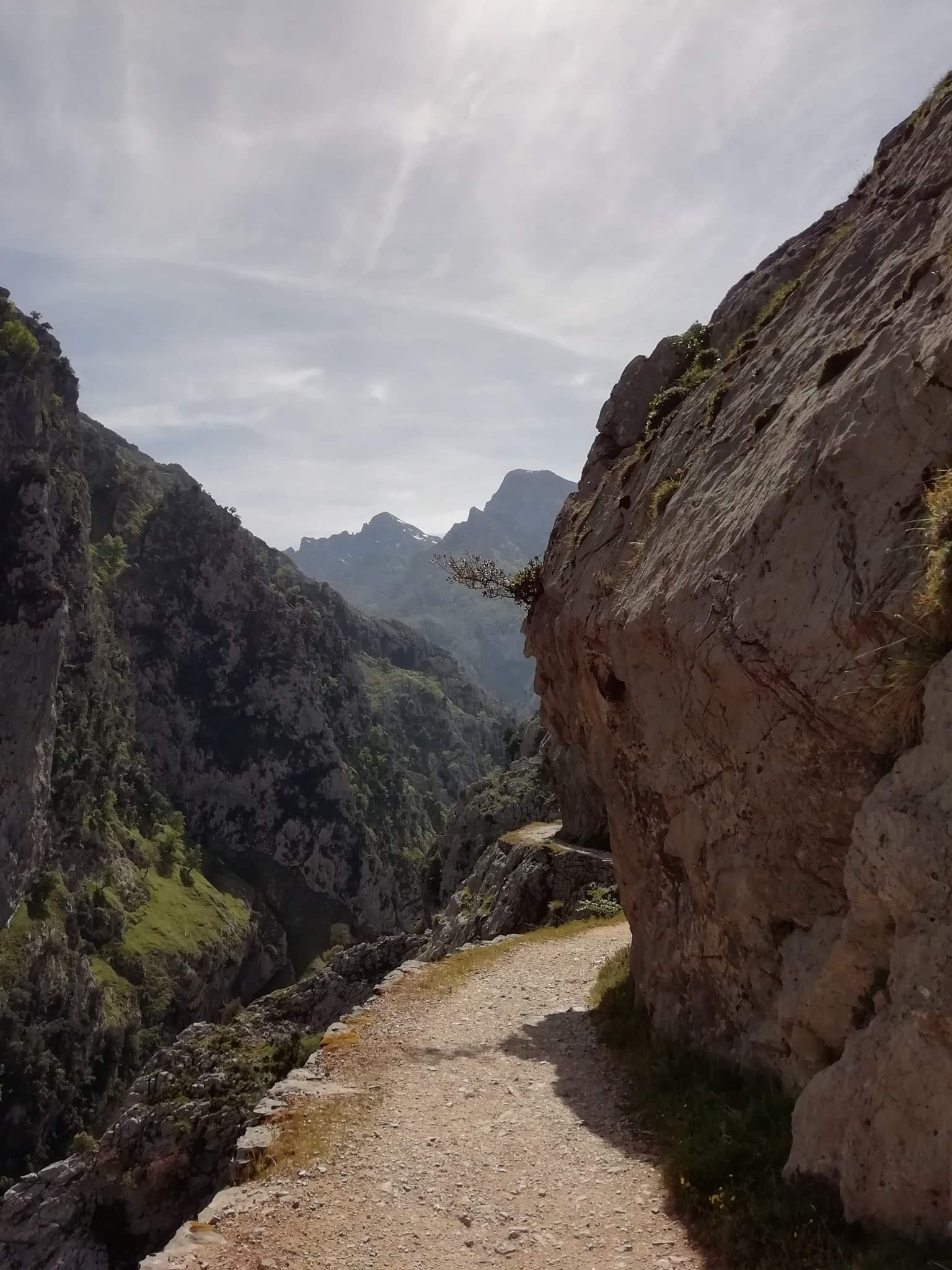 Sentier de la Ruta del Cares taille dans la falaise calcaire des Picos de Europa