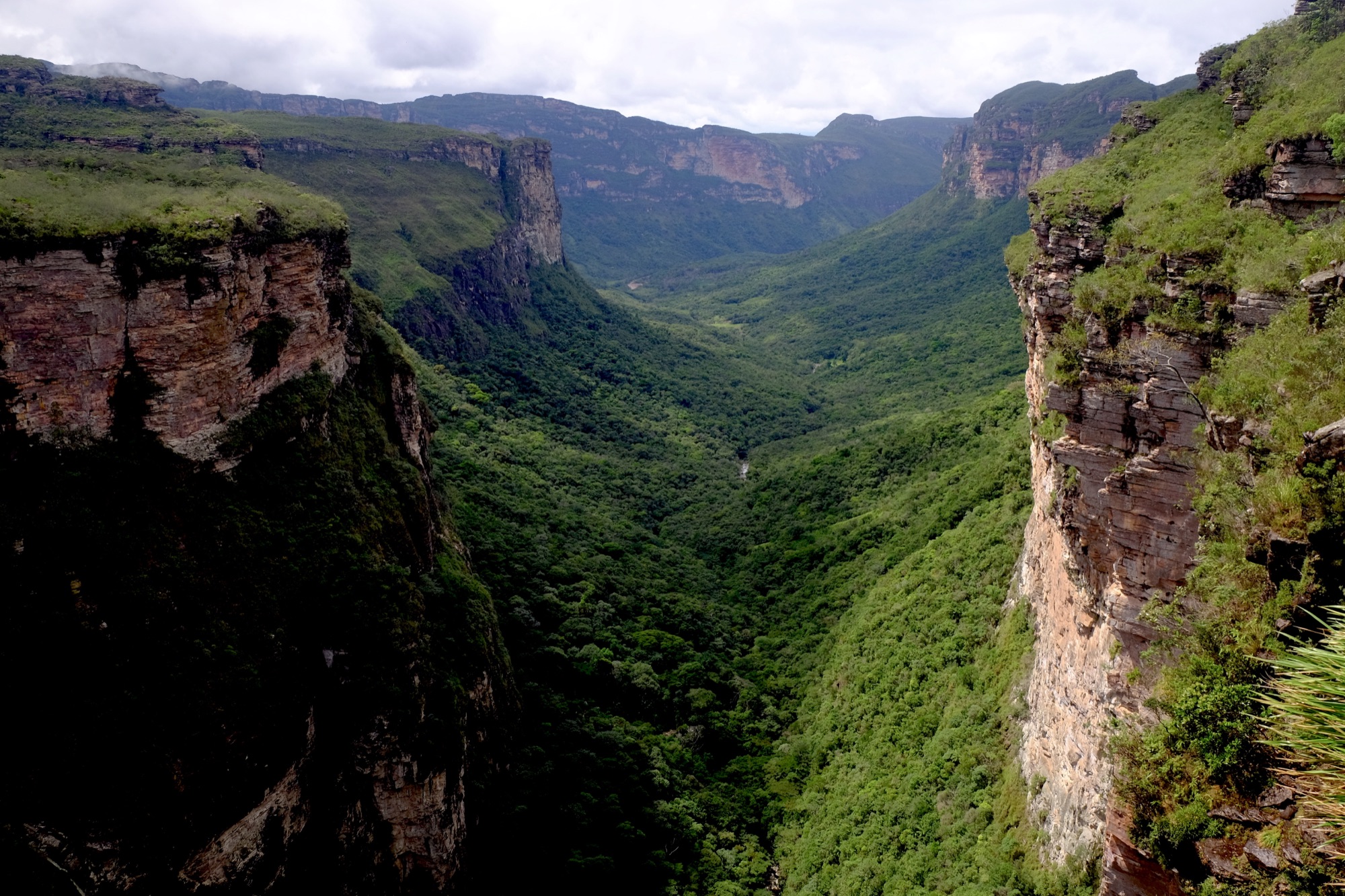 Vue sur le Vale do Pati dans la Chapada Diamantina, Bahia, avec ses vallées verdoyantes et ses morros aux formes rondes