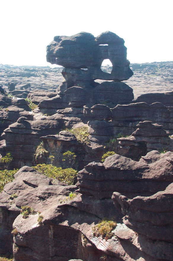 Plateau sommital du tepuy Roraima, à la triple frontière du Brésil, du Venezuela et du Guyana