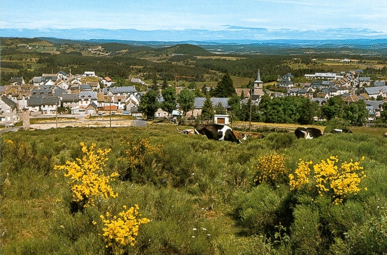 La commune d'Aumont-Aubrac, sur le plateau de l'Aubrac, où Cyril Attrazic tient la seule table deux étoiles de Lozère