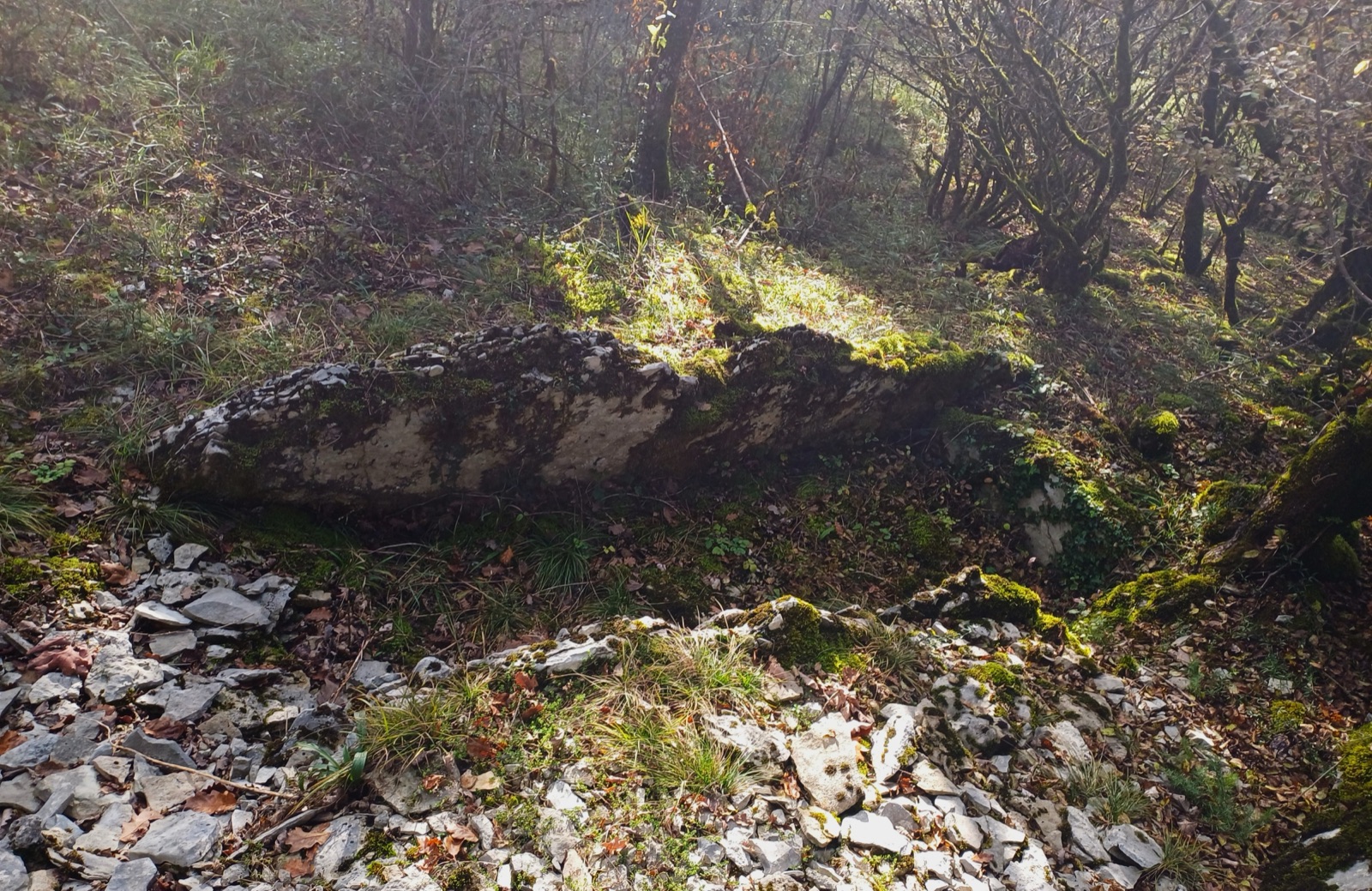 Le dolmen du Cayrou, ses dalles de pierre dressées sur le causse de Limogne, dans le Lot