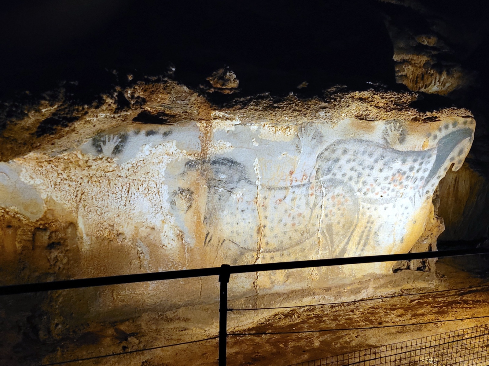 Les chevaux ponctués peints sur la paroi de la grotte du Pech Merle
