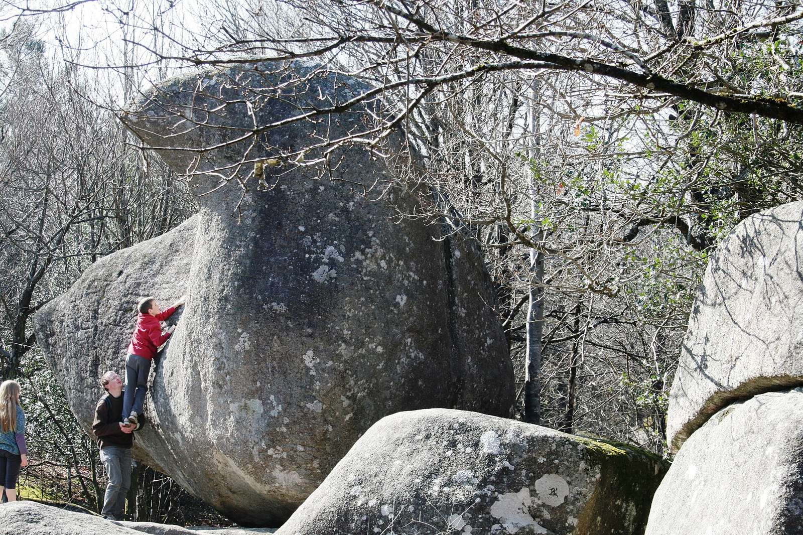 Les rochers de granit du Sidobre, dans le Tarn, avec le Roc de l'Oie en équilibre sur le plateau de Crémaussel